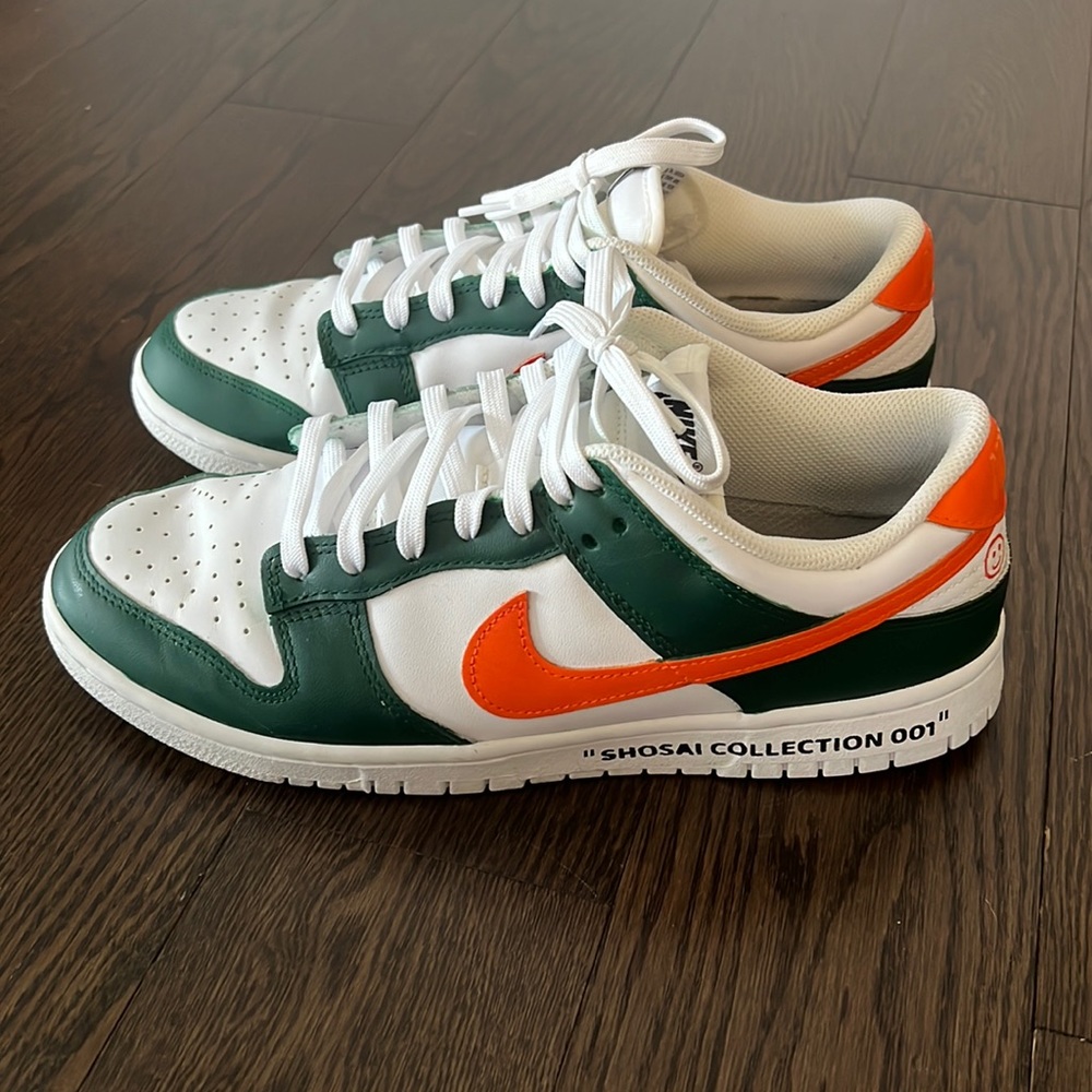 Limited Edition Nike Dunks (Size 9.5)